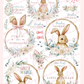 #43 Lieblingshase RubOns - Rub-Ons - A4 Bogen Frohe Ostern Hase